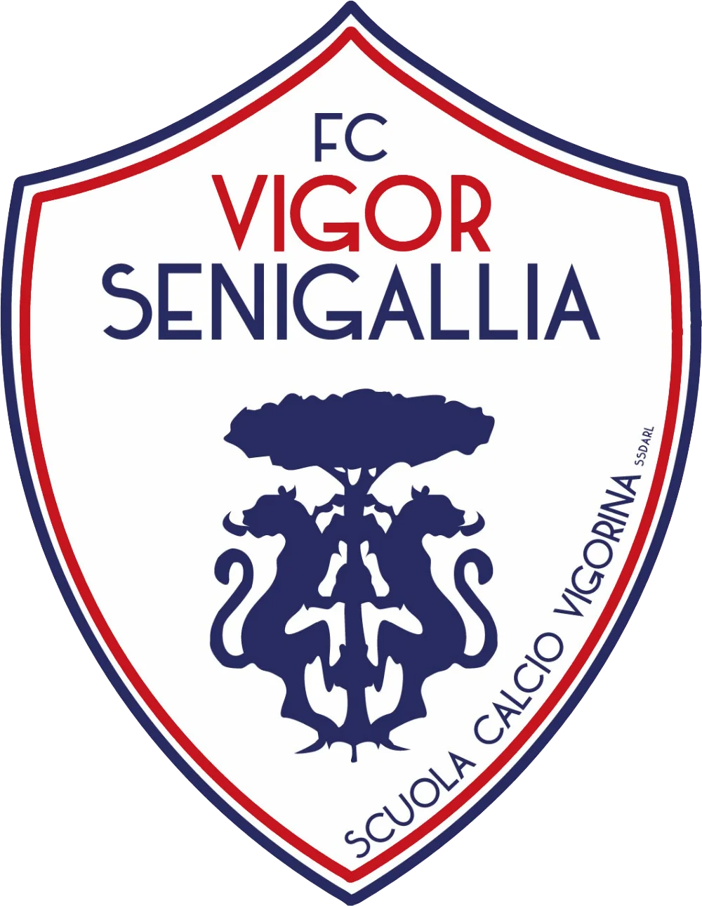 Vigor Senigallia