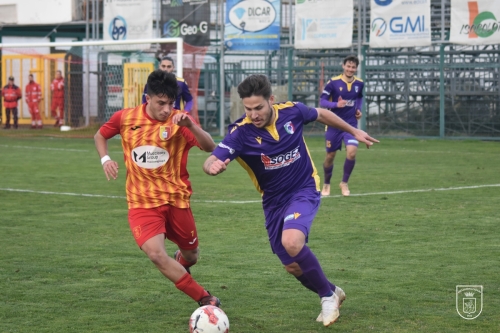 DSC 0266-2 (1)