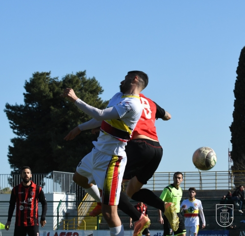 PRIMOTEMPO-28 (1)